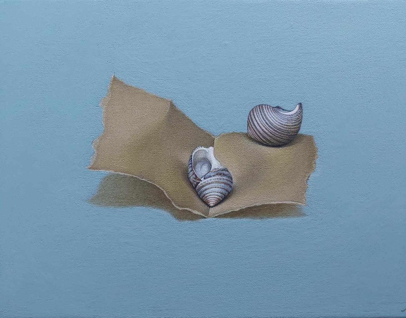 Shell Artwork | Sarah Heppner Fine Artist  Worcester gallery image 5