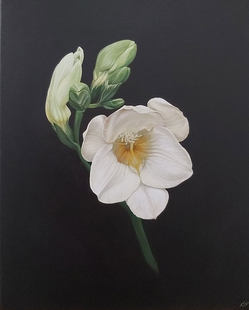 Flowers Artwork | Sarah Heppner Fine Artist  Worcester gallery image 10