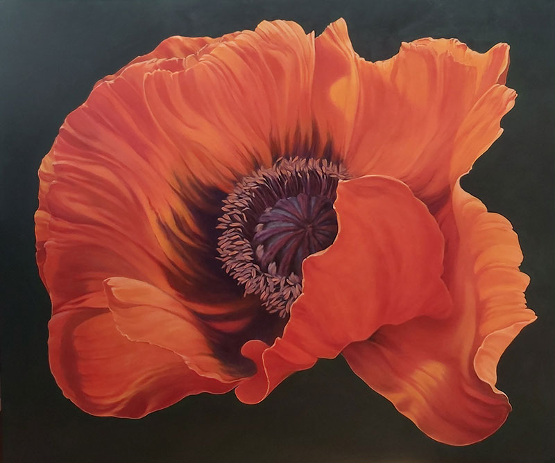 Flowers Artwork | Sarah Heppner Fine Artist  Worcester gallery image 11
